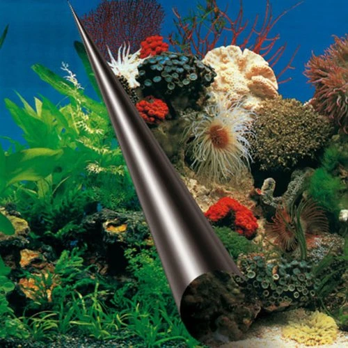 ebi Fotorückwand Stone & Coral, 60x30cm