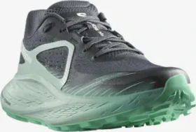 Salomon Glide Max TR ebony/blue haze/cockatoo (Damen)