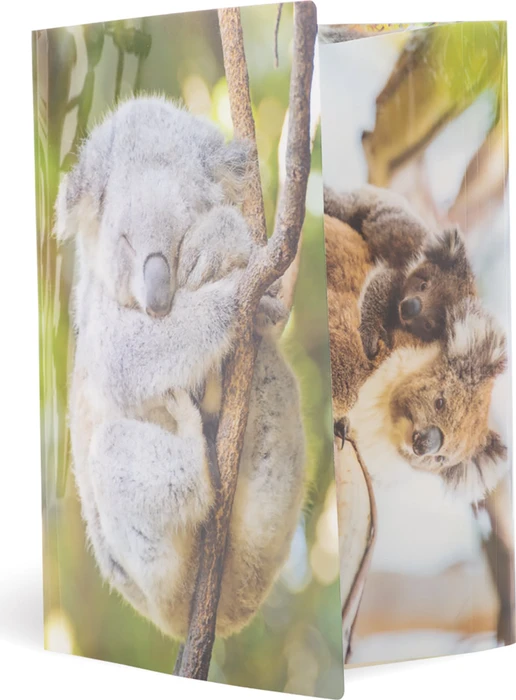 Herma Glossy Tiere Sammelmappe, A4, Koala, 3er-Pack