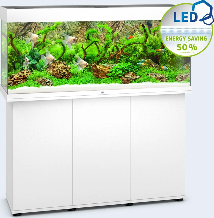 Juwel Rio 240 LED Aquarium