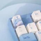 Varmilo VEA87, Sea Melody, TKL, LEDs weiß, MX BROWN, USB, US Vorschaubild