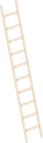 Layher Topic 1052 Holz Anlegeleiter, 10 Stufen