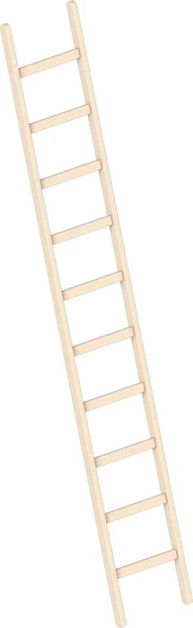 Layher Topic 1052 Holz Anlegeleiter, 10 Stufen