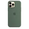 Apple Silikon Case mit MagSafe für iPhone 13 Pro Max Eukalyptus Vorschaubild