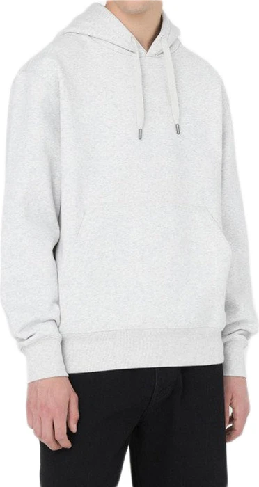 Dickies Summerdale Hoodie light grey (Herren)