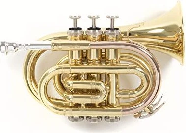 Roy Benson Bb-Taschentrompete PT-101