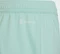 adidas Entrada 22 Shorts clear mint (Junior) Vorschaubild