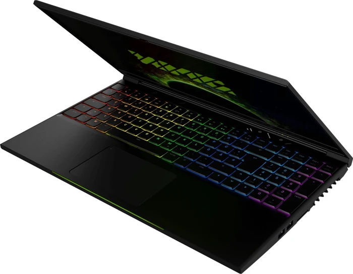 Schenker XMG NEO 15-M18thr, Core i7-8750H, 8GB RAM, 256GB SSD, GeForce GTX 1060, DE