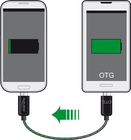 DeLOCK USB 2.0 Power Sharing Kabel Micro-B/Micro-B, 0.3m