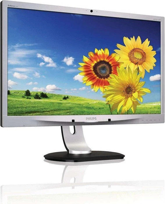 Philips P-line 241P4QPYKES, 24"