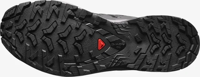 Salomon XA Pro 3D V9 black/gull/excalibur (Damen)