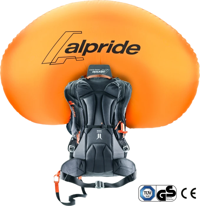 Deuter Alproof 32 chestnut/black