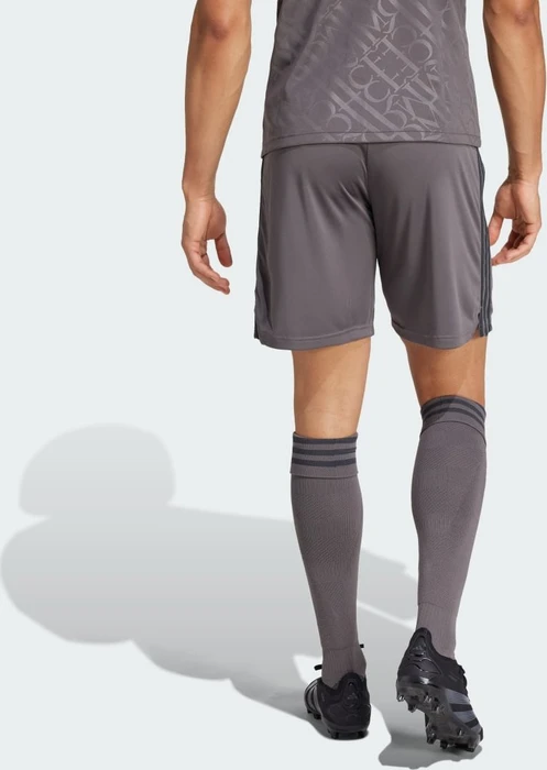 adidas Real Madrid 2024/2025 Ausweichshorts charcoal (Herren)