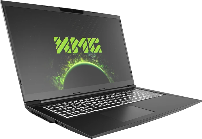 Schenker XMG Core 17-E21 Intel, Core i7-10870H, 8GB RAM, 250GB SSD, GeForce RTX 3060, DE