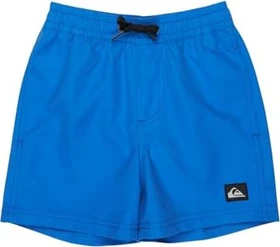 Quiksilver Everyday Volley 12" Badeshorts nebulas blue (Junior)