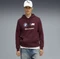 Puma BMW M Motorsport Fleece Hoodie ruby shimmer (Herren) Vorschaubild