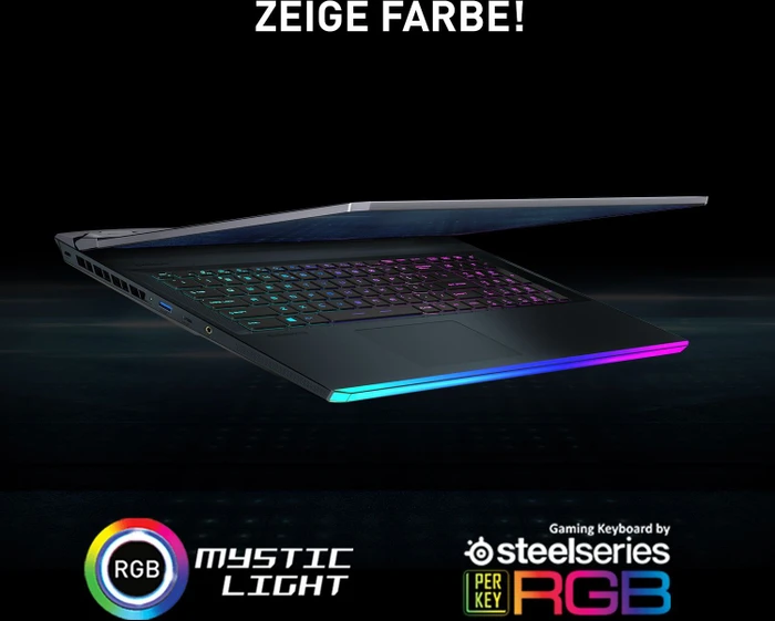 MSI GE76 Raider DC 10UH-628, Core i9-10980HK, 32GB RAM, 2TB SSD, GeForce RTX 3080, DE