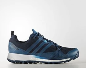 adidas Terrex Agravic GTX blue night/mystery petrol/footwear white (Herren)