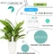 Xiaomi HHCC Mi Flower Care Max Sensor, Feuchtesensor (verschiedene Markenbezeichnungen) Vorschaubild