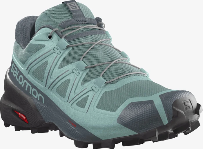 Salomon Speedcross 5 trellis/stormy weather/phantom (Damen)