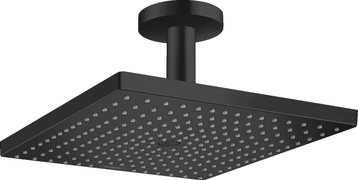 Hansgrohe Raindance Kopfbrause E 300 1jet