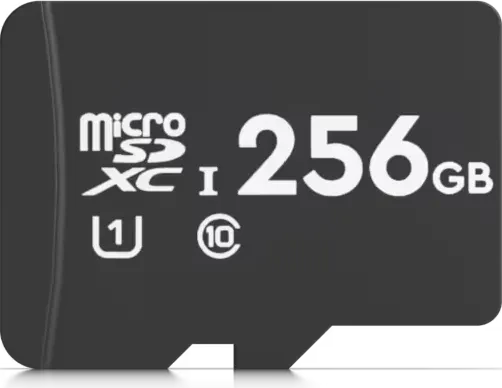 Ubiquiti MSD R100 256GB, UHS-I U1, Class 10 (MSD-256GB)