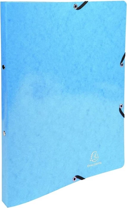 Exacompta Iderama Ringbuch 2-Ring, 20mm, A4, hellblau