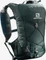 Salomon Agile 12 Set Vorschaubild