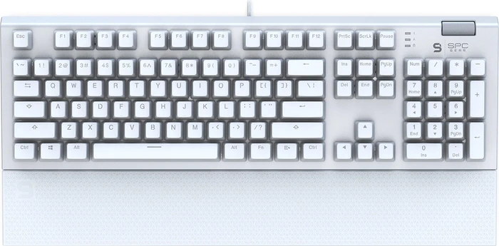Endorfy SilentiumPC SPC Gear GK650K Omnis, LEDs RGB, Onyx White Pudding Edition, Kailh BLUE, USB, US