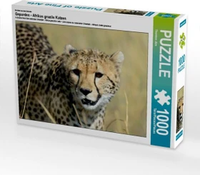 Calvendo Ein Motiv aus dem Kalender Geparden - Afrikas grazile Katzen