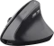 Trust Yuno Ergonomic Wireless Mouse schwarz, USB Vorschaubild