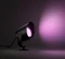 Philips Hue White and Color Ambiance Lily XL Gartenspot Vorschaubild