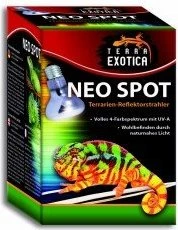 Terra Exotica Neo Spot Terrarien-Reflektorstrahler, E27, 40W