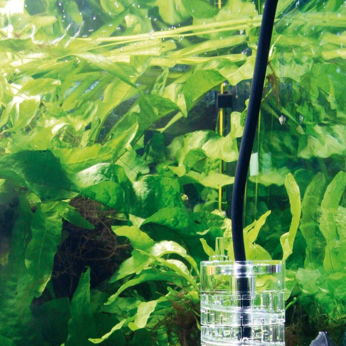 JBL PRO FLORA T3 CO2-Schlauch, schwarz