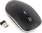 Gembird Wireless Optical Mouse 4B-01 schwarz/silber, USB Vorschaubild