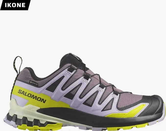 Salomon XA Pro 3D V9 GTX moonspace/orchid petal/sulphur spring (Damen)