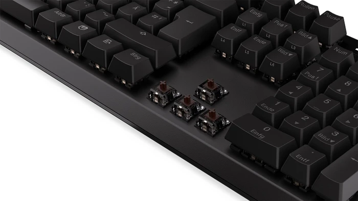 Endorfy Thock, PBT, LEDs RGB, Kailh BROWN, USB, DE