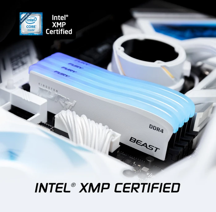 Kingston FURY Beast RGB Special Edition UDIMM 32GB Kit, DDR4-3600, CL18-22-22, 1RX8