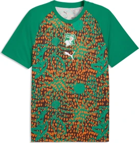 Puma FIFA WM 2026 Elfenbeinküste Aufwärmtrikot kurzarm sport green/chocolate brown (Herren)