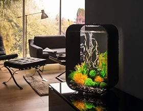 Oase biOrb Life 45 MCR Aquarium transparent