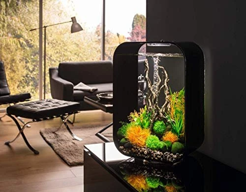 Oase biOrb Life 45 MCR Aquarium transparent