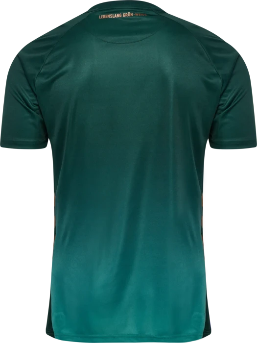 hummel SV Werder Bremen 2025/2026 Ausweichtrikot (Herren)