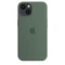 Apple Silikon Case mit MagSafe für iPhone 13 Eukalyptus Vorschaubild
