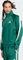 adidas Stadium Trainingsjacke collegiate green (Herren) Vorschaubild