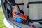 Brennenstuhl CEE Camping-Verlängerungskabel IP44 orange, mit CEE-Winkelkupplung und Schuko-Kombisteckdose, 3m Vorschaubild