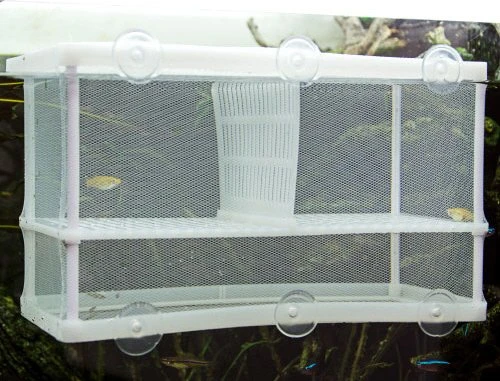 Hobby Nido 3.1 XL, Ableichkasten