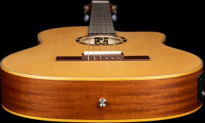 Ortega RCE125SN Thinline Natural