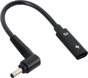 PowerGuard DC-Stecker auf USB-C Stecker Ladeadapter (00032369)