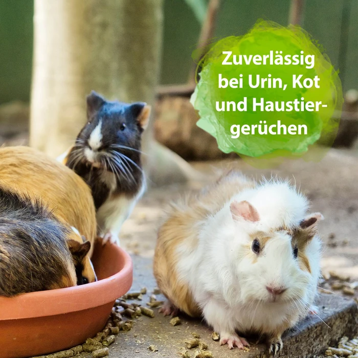 Ardap - Bactador Nagerkäfig Geruchsentferner und Reiniger, 500ml