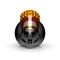 Dyson Cinetic Big Ball Multi Floor 2 Vorschaubild